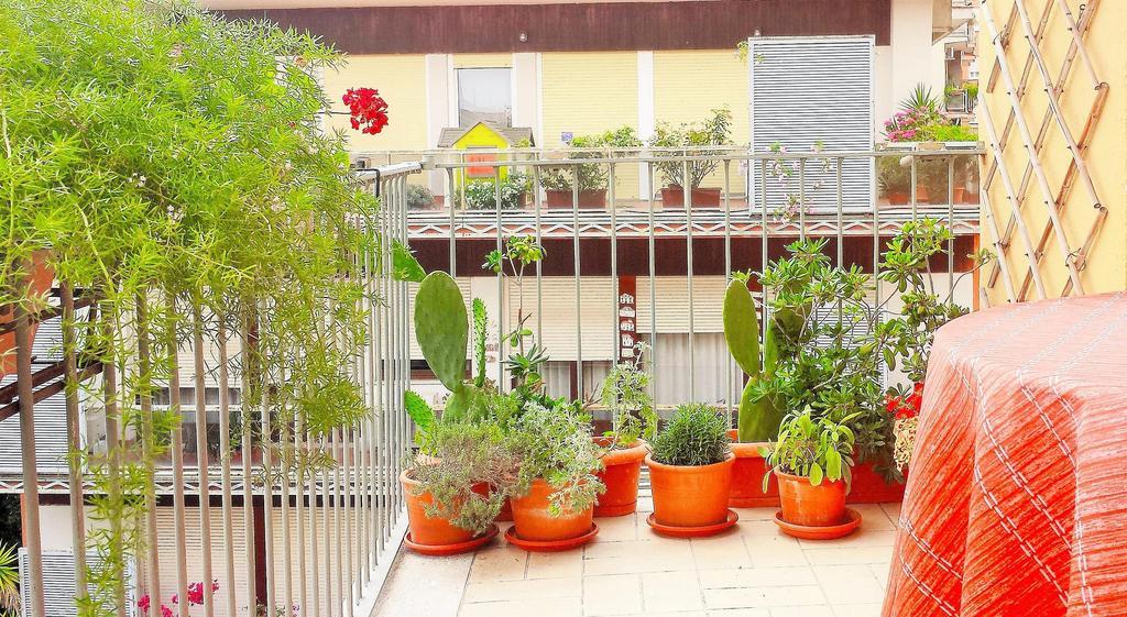 Romulus Rex Hotel Ngoại thất bức ảnh